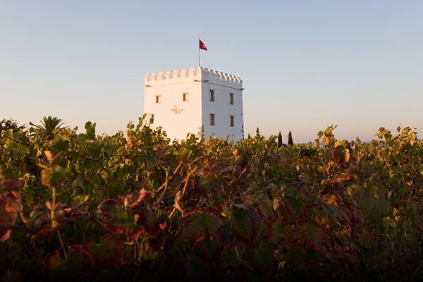 Esporao_toren_600x400.jpg