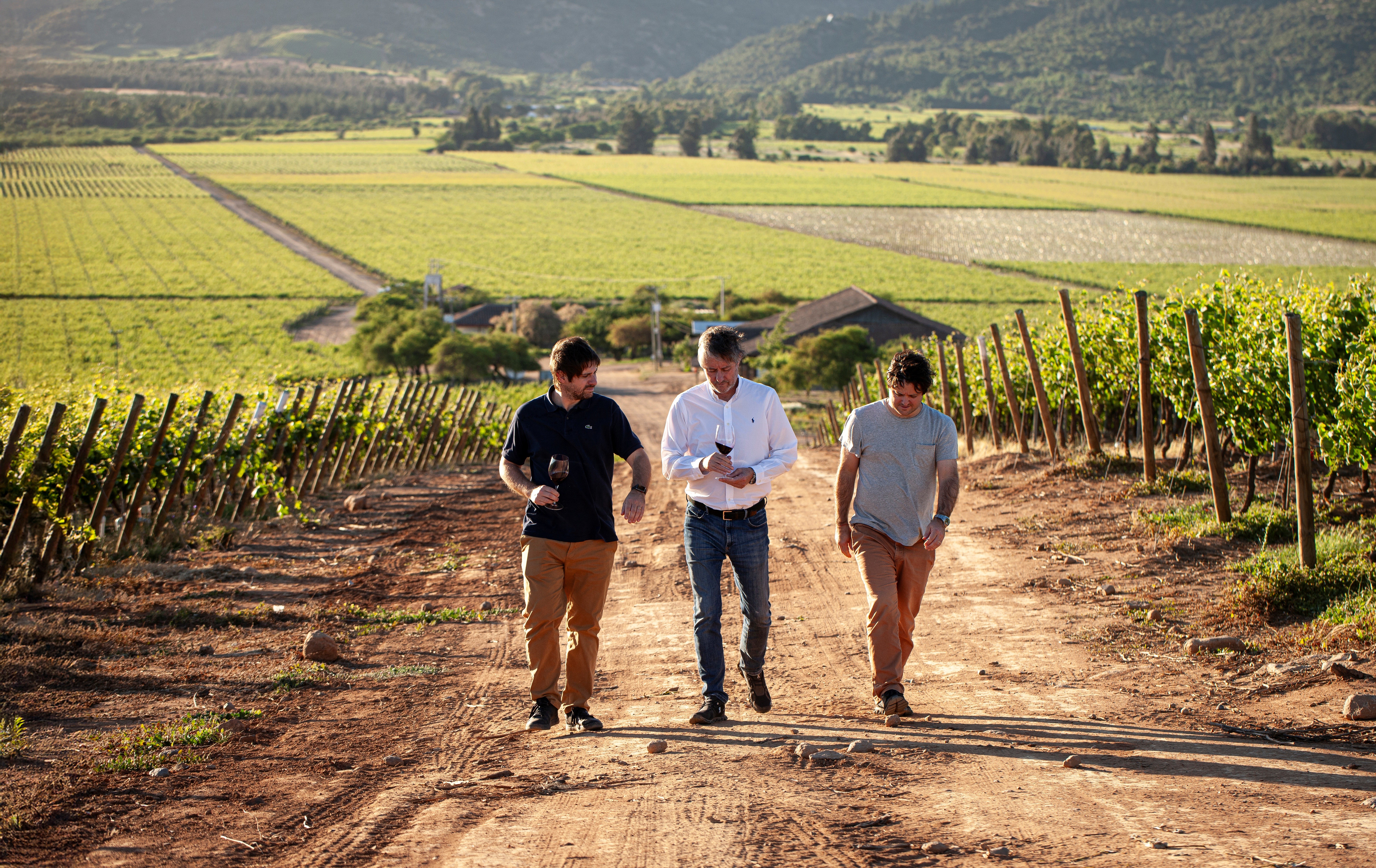 Vina del Pedregal uitgeroepen tot Best Producer Chile at MUNDUS VINI 2026