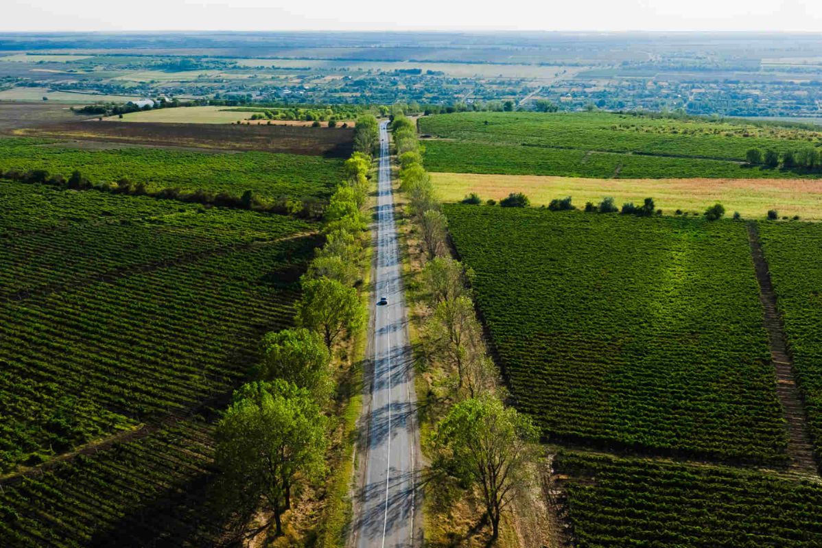 Radacini_-_weg.jpg