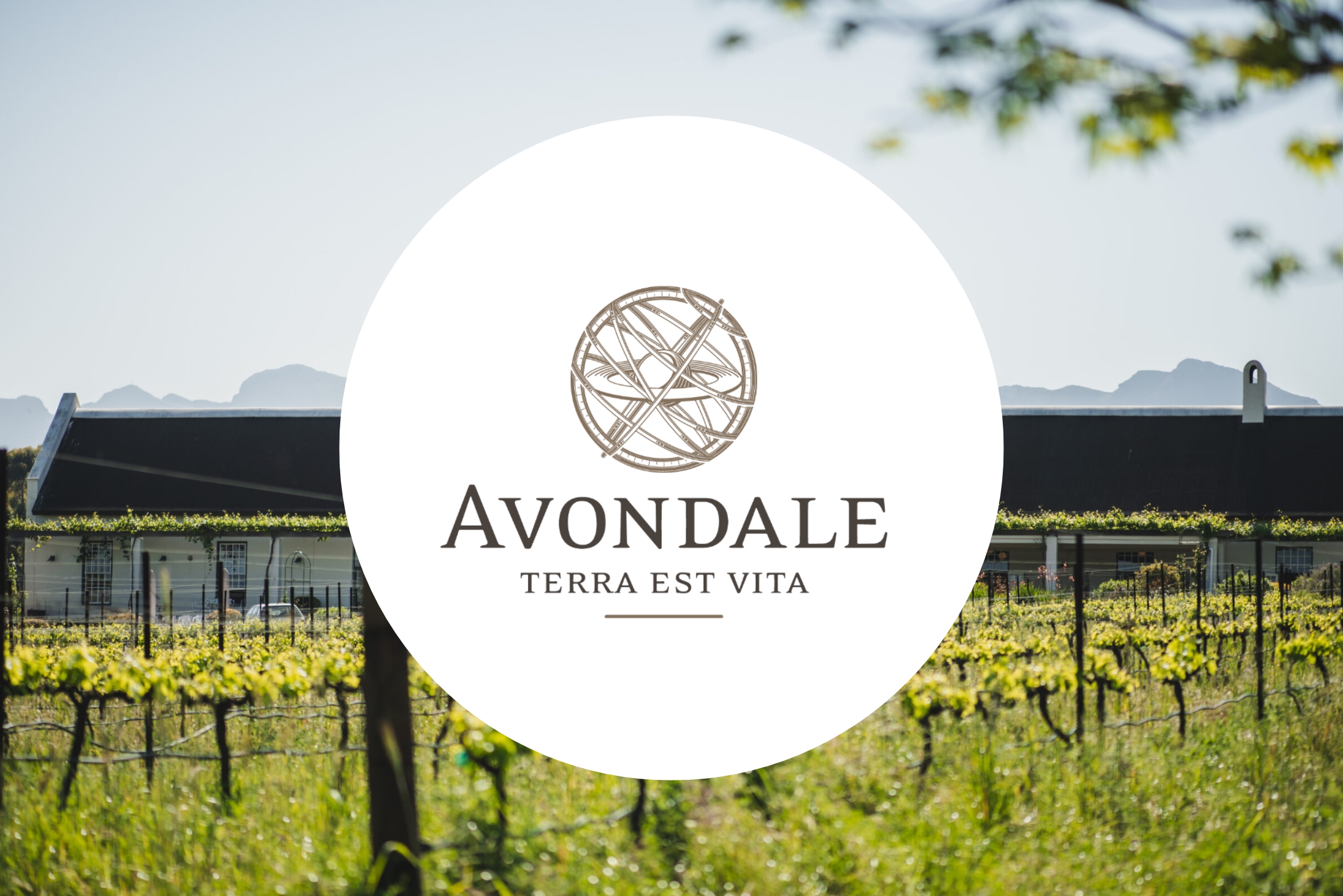avondale-banner.jpg