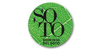 Dominio del Soto