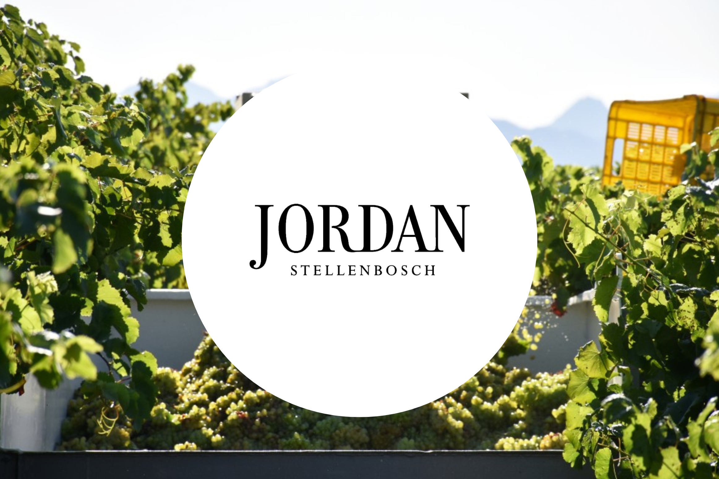 jordan-banner.jpg