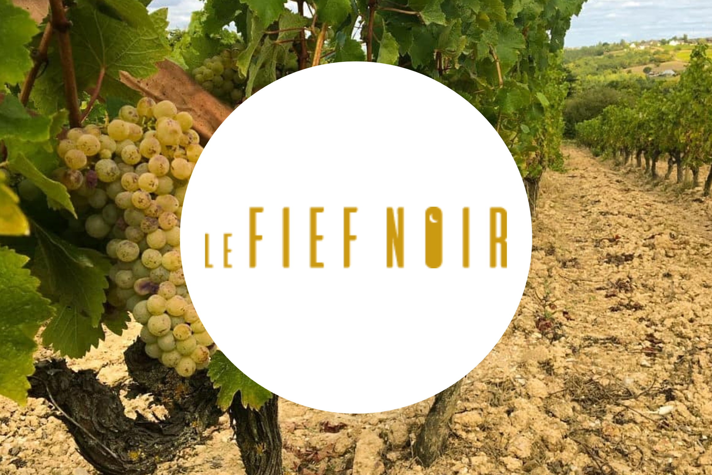 le-fief-noir-banner.jpg