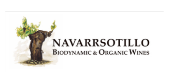 Navarrsotillo