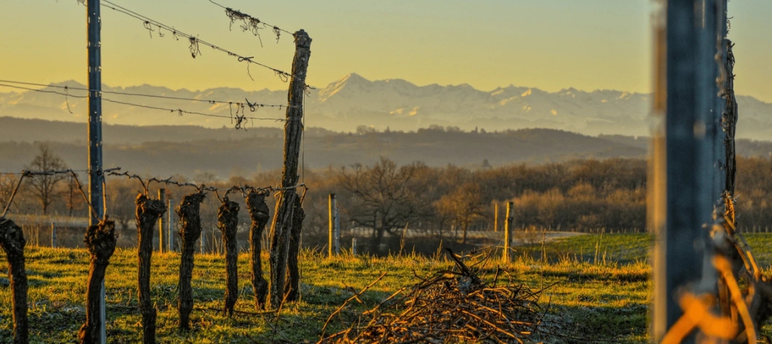 Verrassend & Fris: Côtes de Gascogne van Plaimont