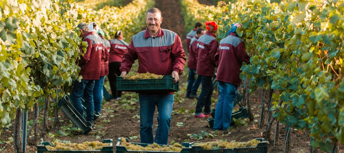Ontdek Moldavië met Radacini Wines