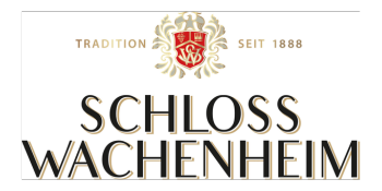 Schloss Wachenheim