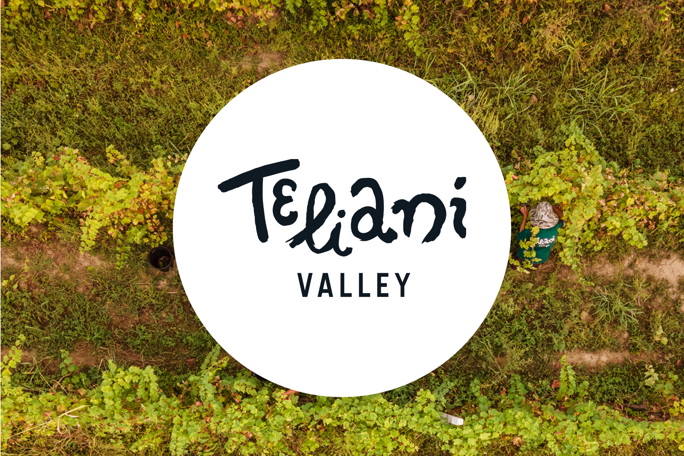 teliani-valley.jpg