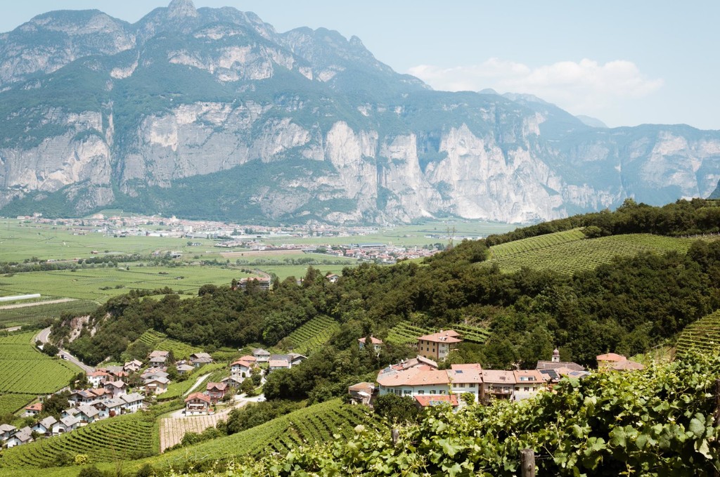 Wat maakt Trentino Pinot Grigio zo bijzonder?