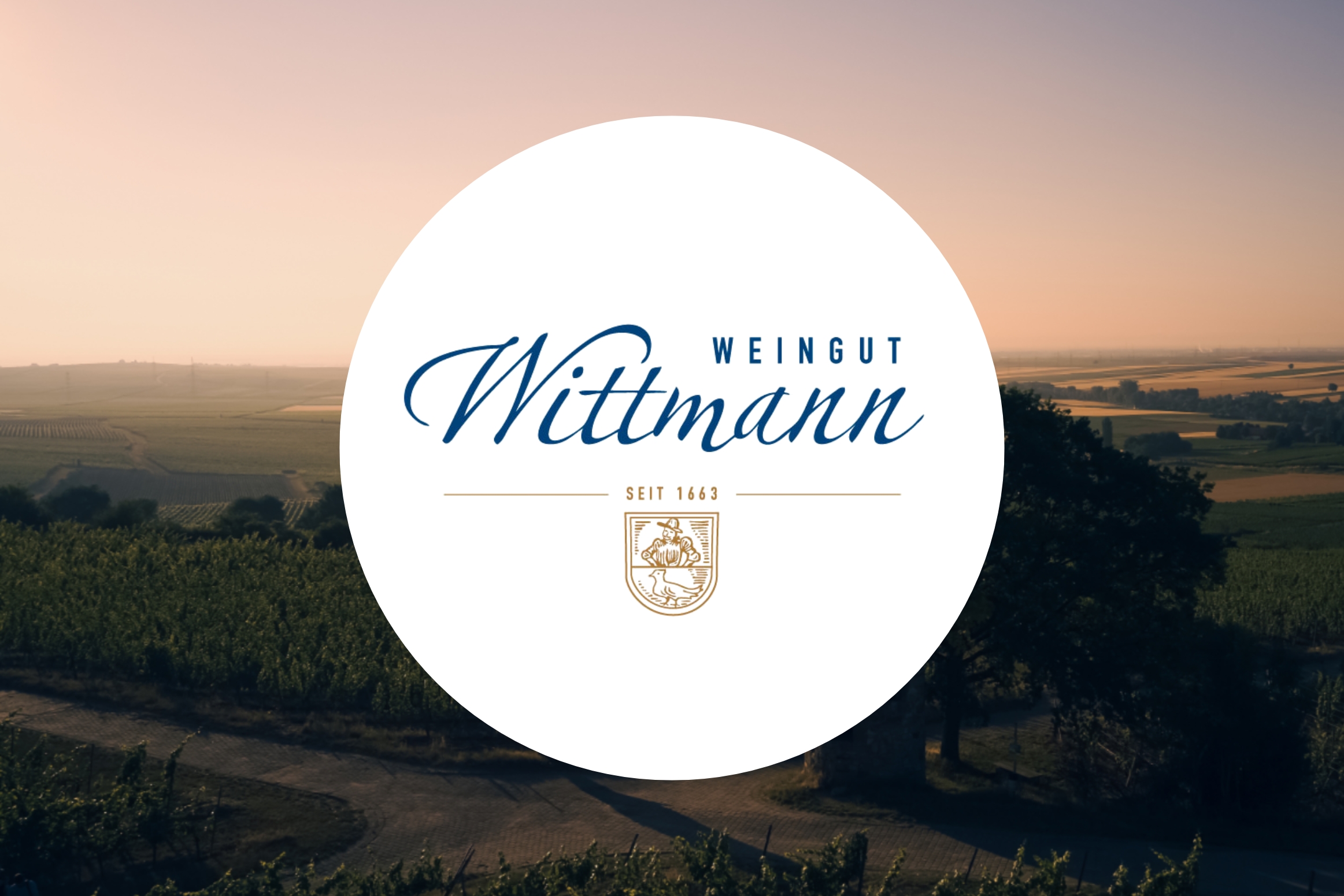 wittmann-banner.jpg
