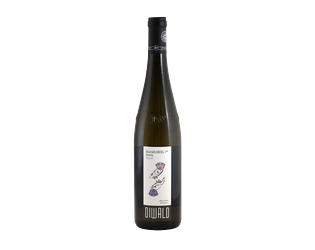 BIO Diwald Ried Goldberg 1ÖTW Riesling