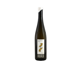 BIO Diwald Ried Eisenhut 1ÖTW Riesling