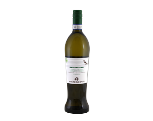 BIO Monte Schiavo Verdicchio Amphora OOH