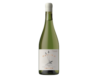 Kaiken Divina Chardonnay