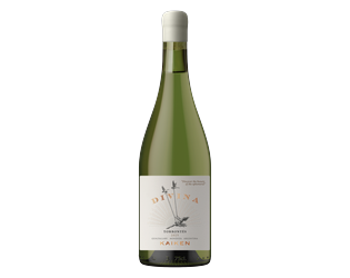 Kaiken Divina Torrontés