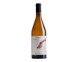 BIO Dourbie Mala Coste Blanc OV
