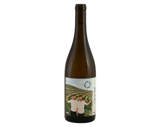 Zavec brothers Furmint (Orange)