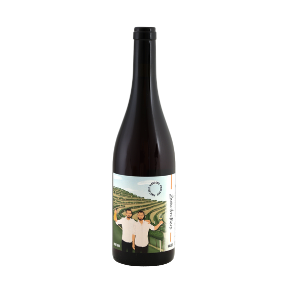 Zavec brothers Pinot Gris (Orange)