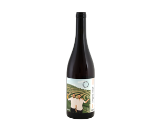 Zavec brothers Pinot Gris (Orange)