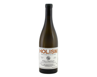 Swartberg Wingerde Holism Palomino