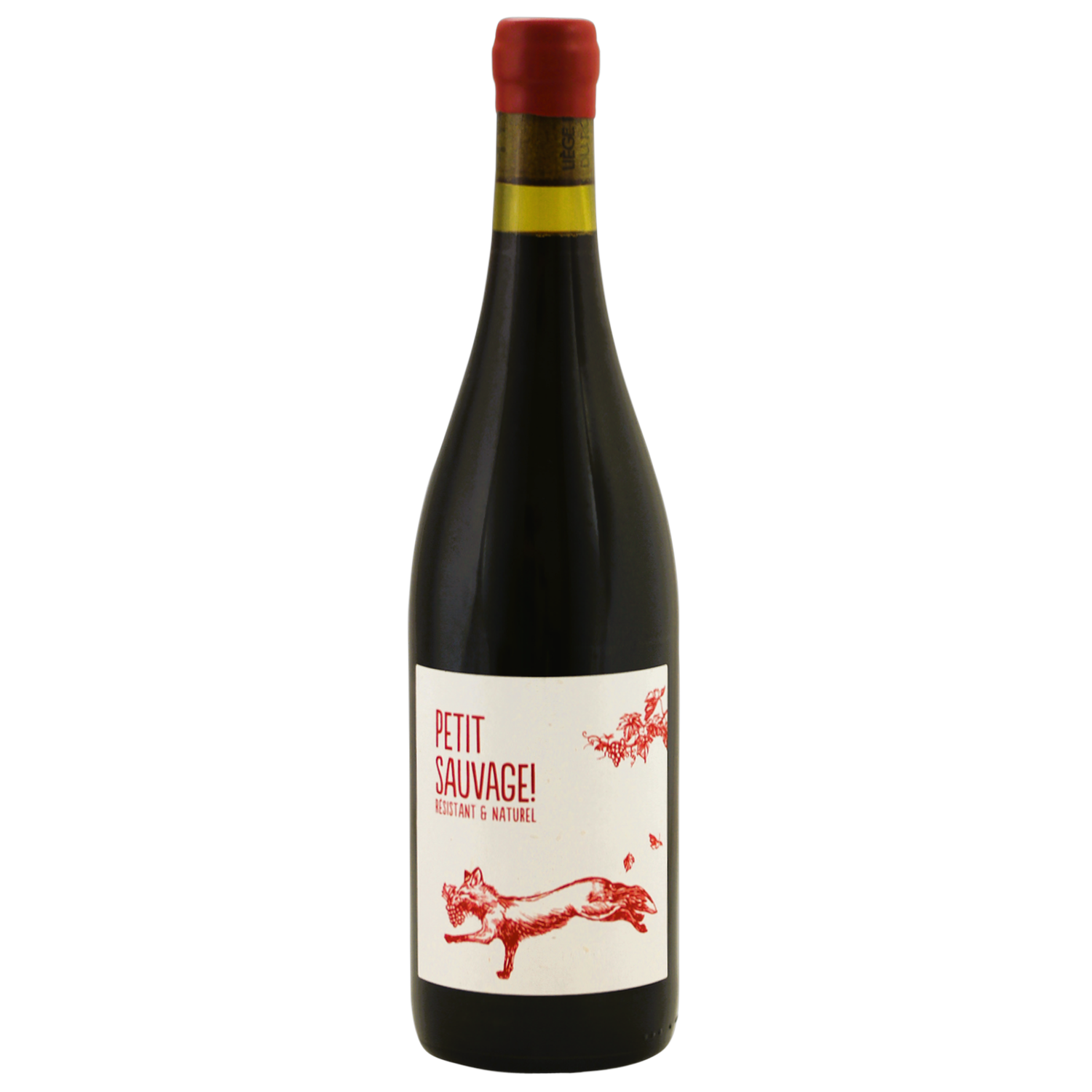 Pierre & Antonin Petit Sauvage rouge