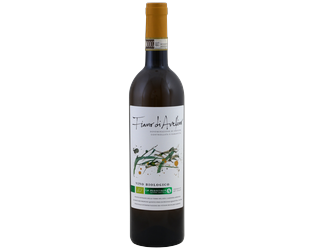 Le Masciare Fiano di Avellino