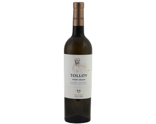 Tolloy Pinot Grigio Trentino DOC