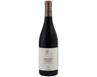 Tolloy Pinot Nero