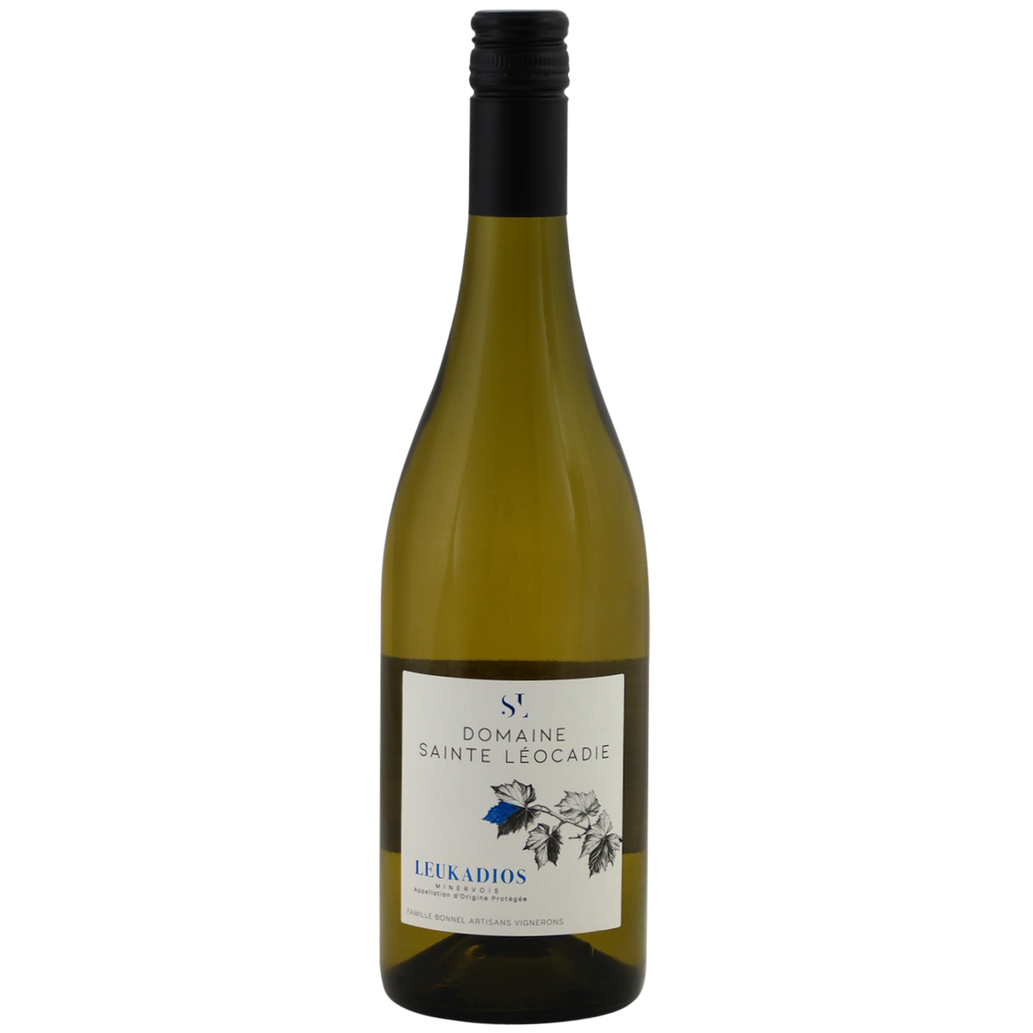 Sainte Léocadie Leukadios blanc