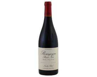 Nicolas Potel Bourgogne Pinot Noir