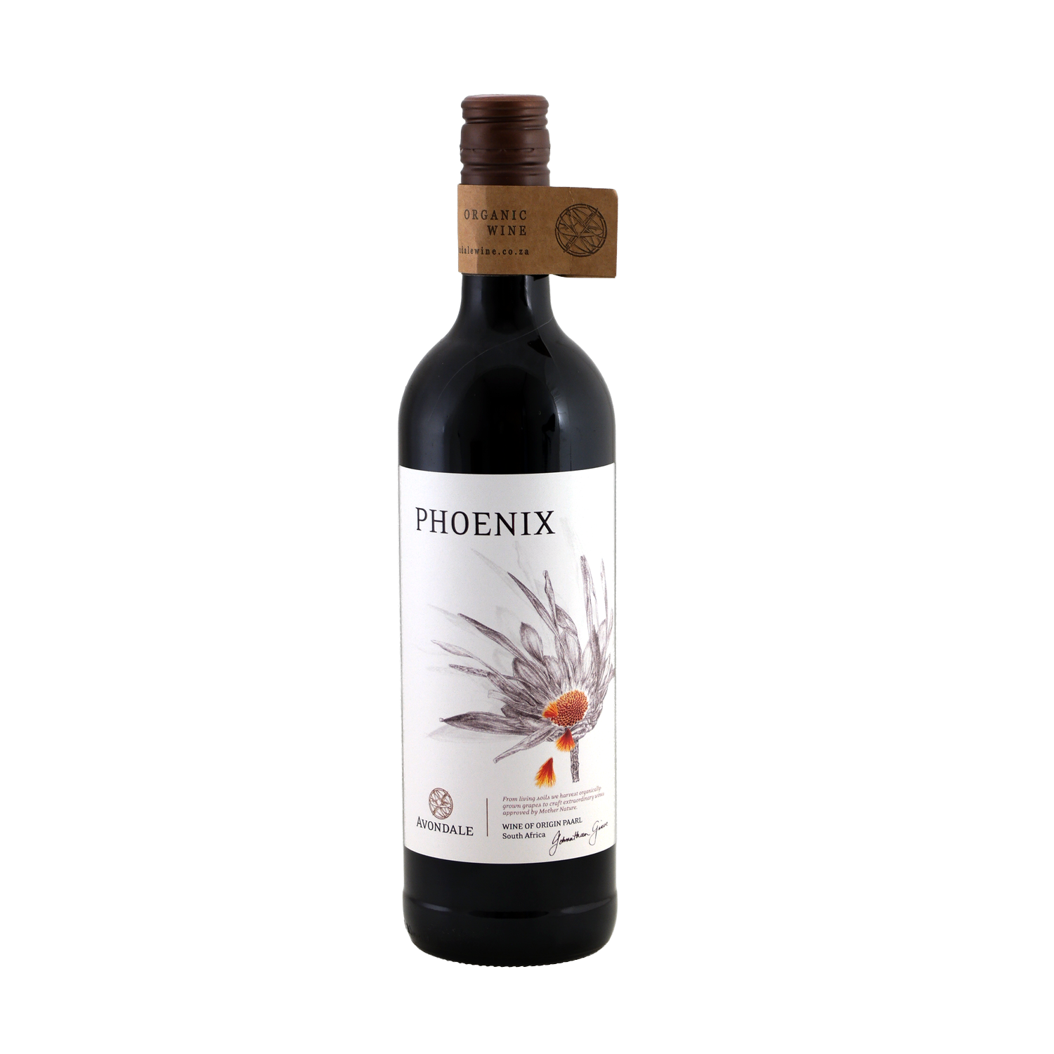 BIO Avondale Phoenix