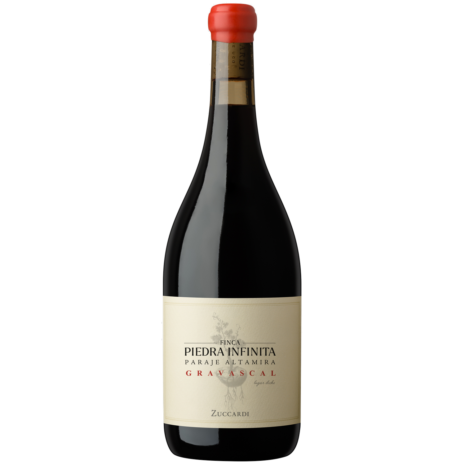Zuccardi Finca Piedra Infinita Gravascal AL