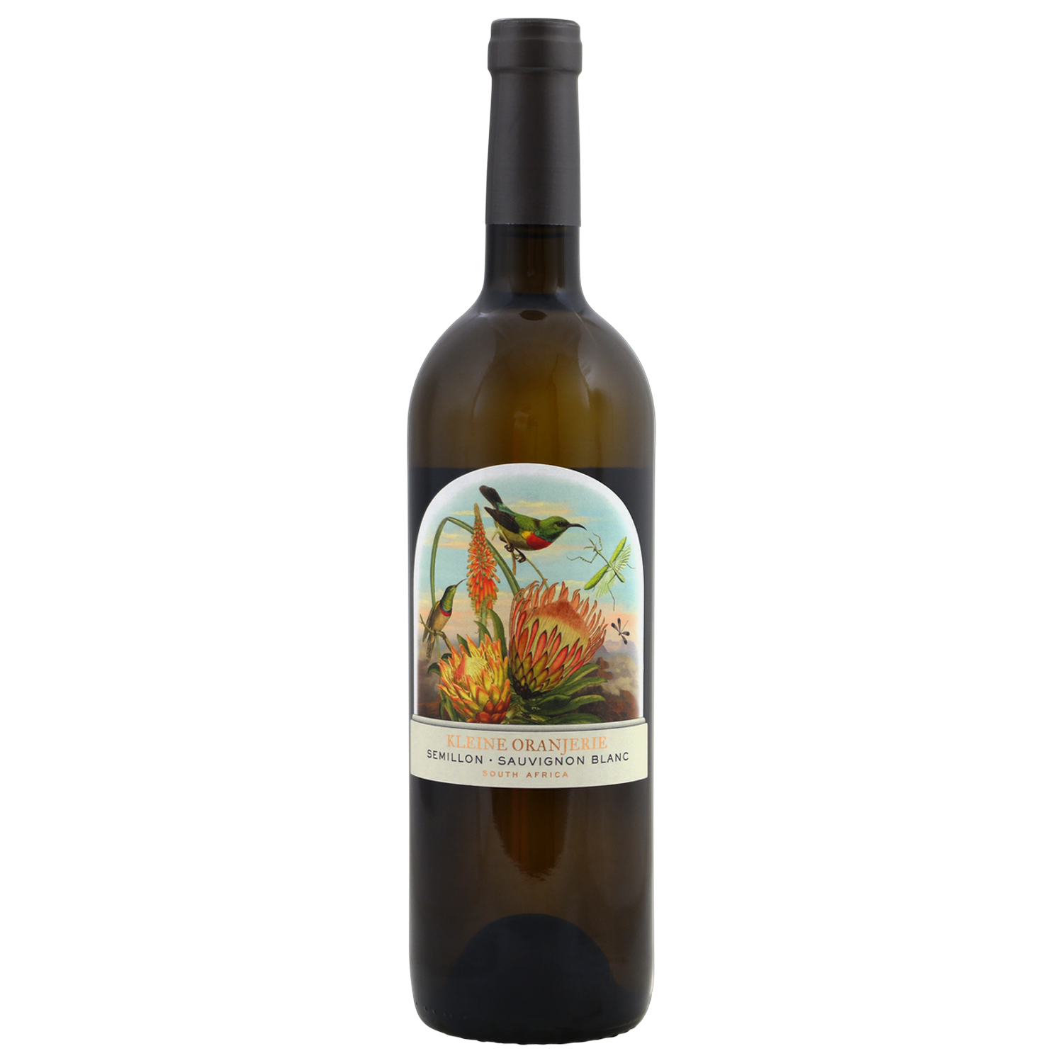 Kleine Oranjerie Terrarium Semillon Sauv. Blanc