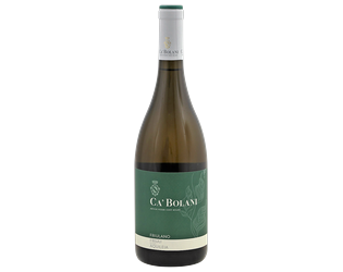 Ca Bolani Friulano Friuli Aquileia