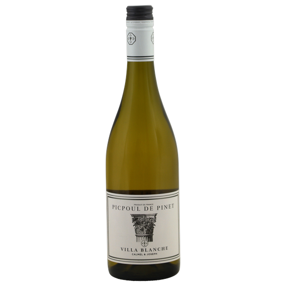 Villa Blanche Picpoul de Pinet