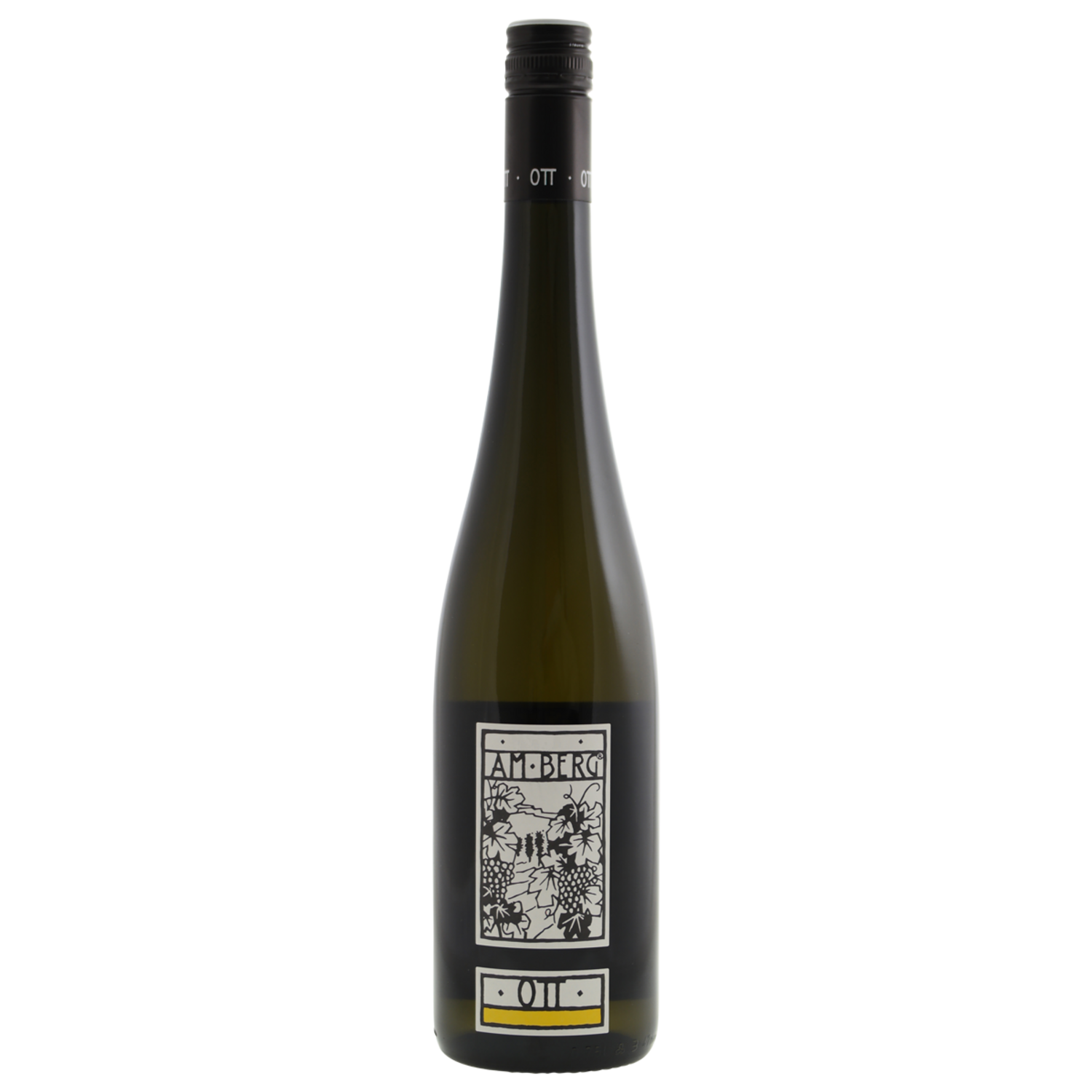 BIO Bernhard Ott Gruner Veltliner Am Berg