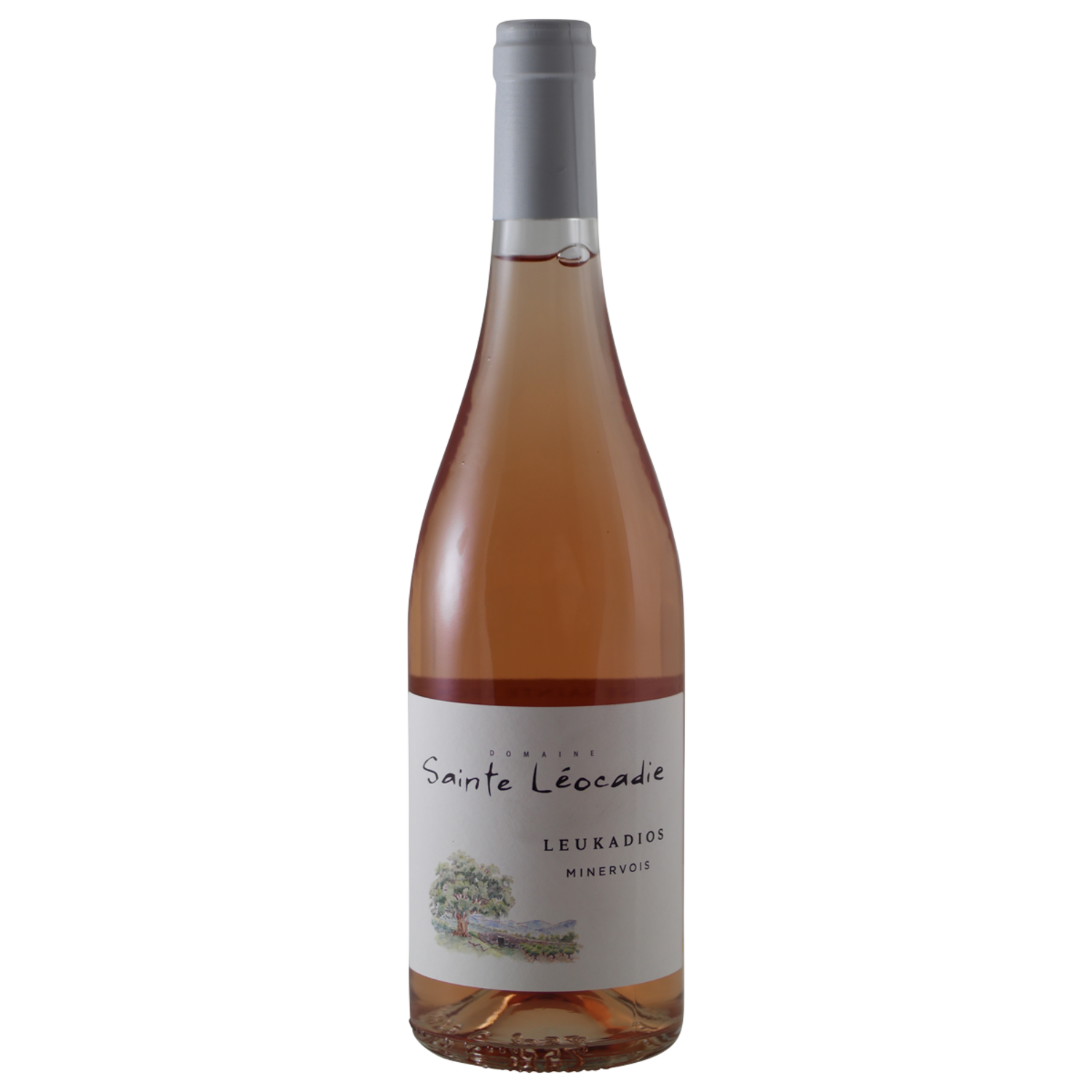 Sainte Léocadie Leukadios Rose OV