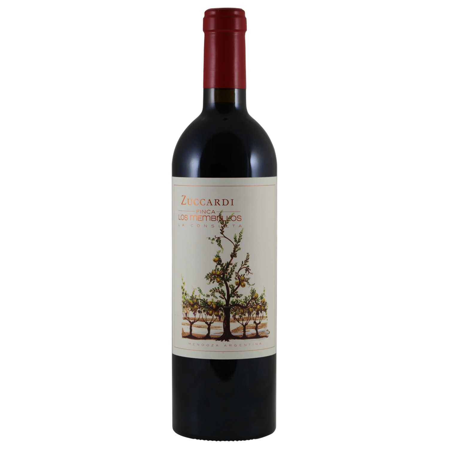 Zuccardi Finca Los Membrillos
