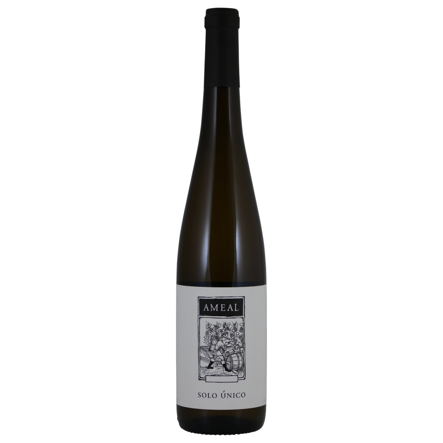Quinta do Ameal Solo Único