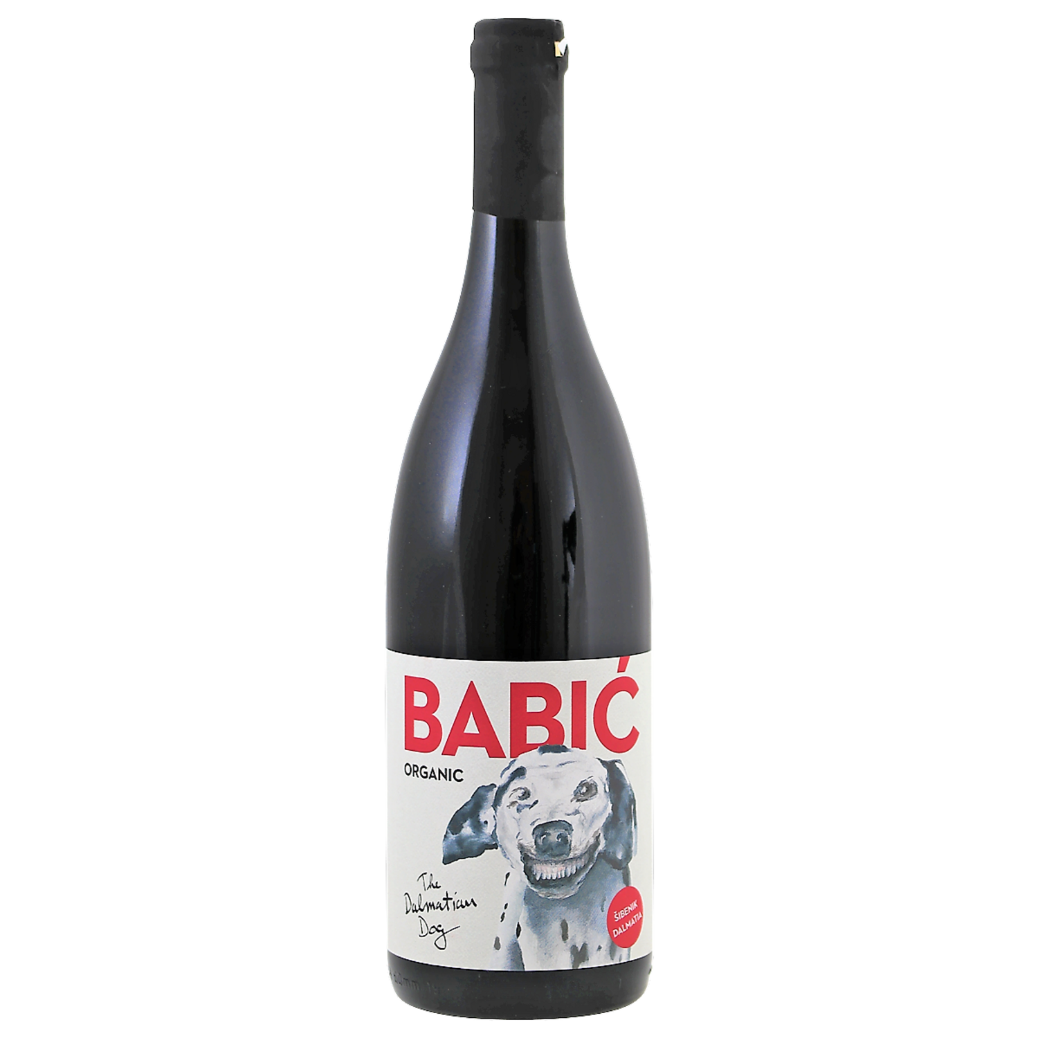BIO The Dalmatian Dog Babic
