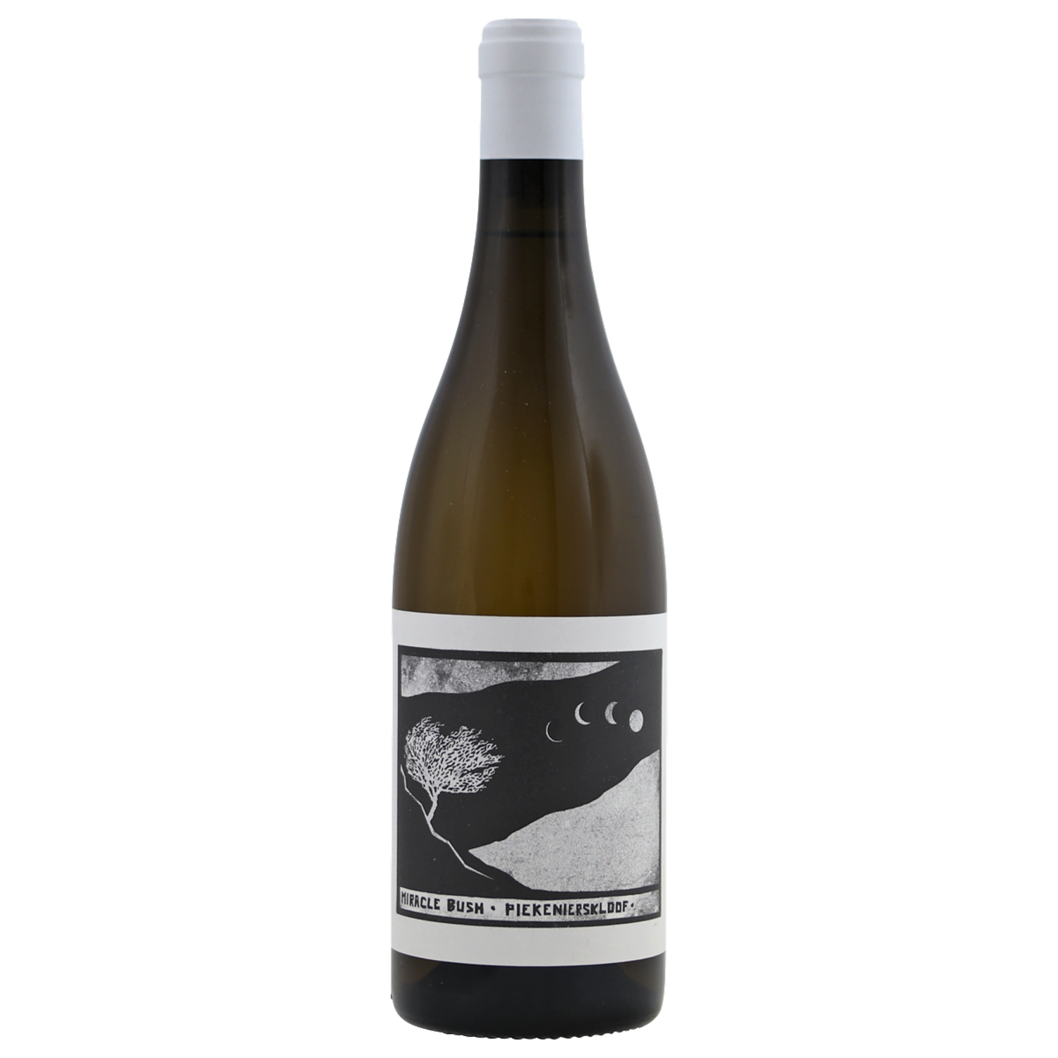 Swartberg Wingerde Miracle Bush white