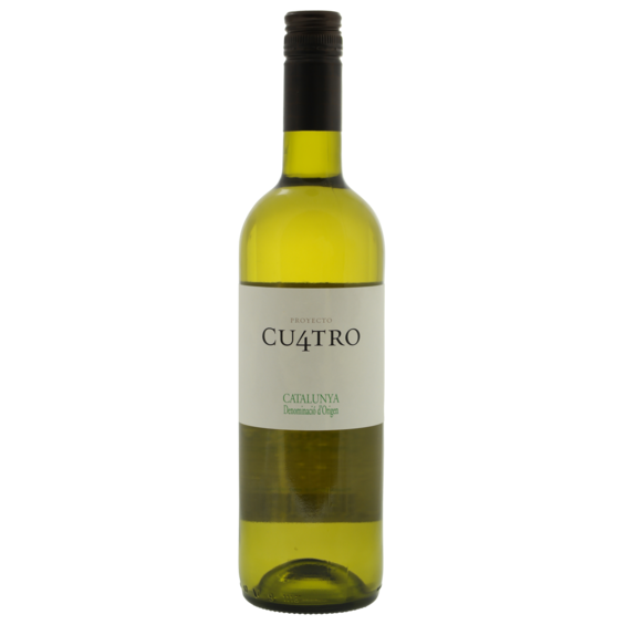 Proyecto Cu4tro blanco