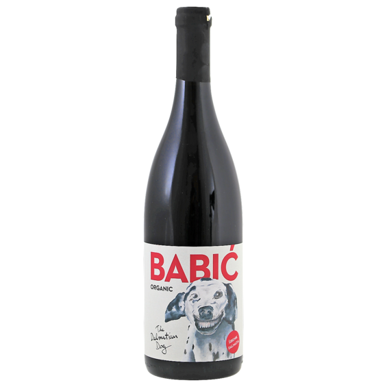 BIO The Dalmatian Dog Babic