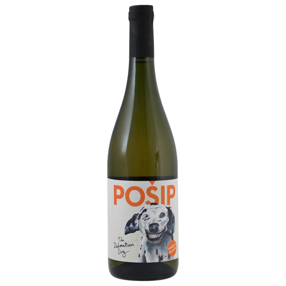 The Dalmatian Dog Posip