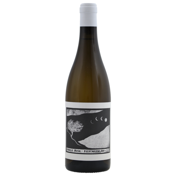 Swartberg Wingerde Miracle Bush white