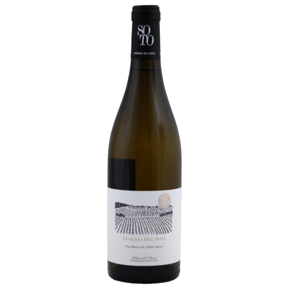 Dominio Del Soto Ribera del Duero white