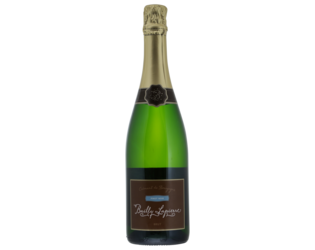 Bailly Lapierre Cremant de Bourg Pinot Noir brut