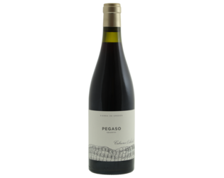 Telmo Rodriguez Pegaso Granito Castilla y Leon