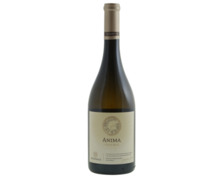 BIO Avondale Anima Chenin Blanc