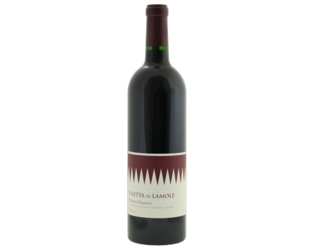 BIO Fontodi Filetta di Lamole Chianti Classico